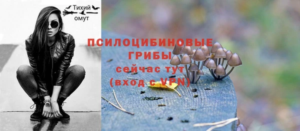скорость Козловка