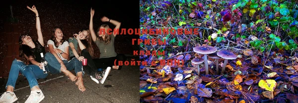 скорость Козловка