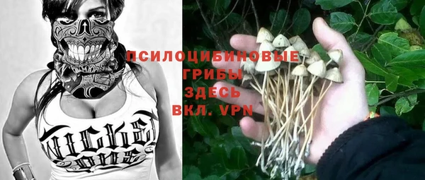 ALPHA PVP Кинешма