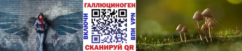 Псилоцибиновые грибы Psilocybine cubensis  Купить где  Грязи 